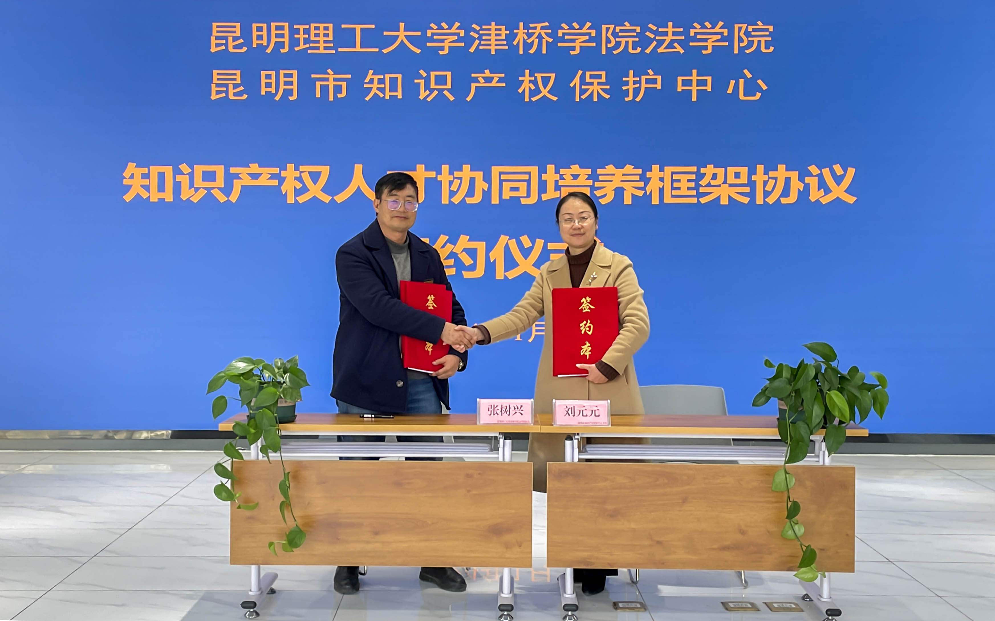 图片11