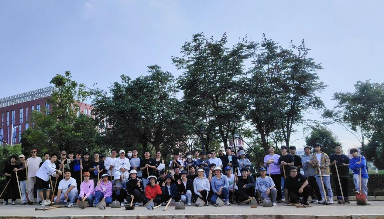 图片4