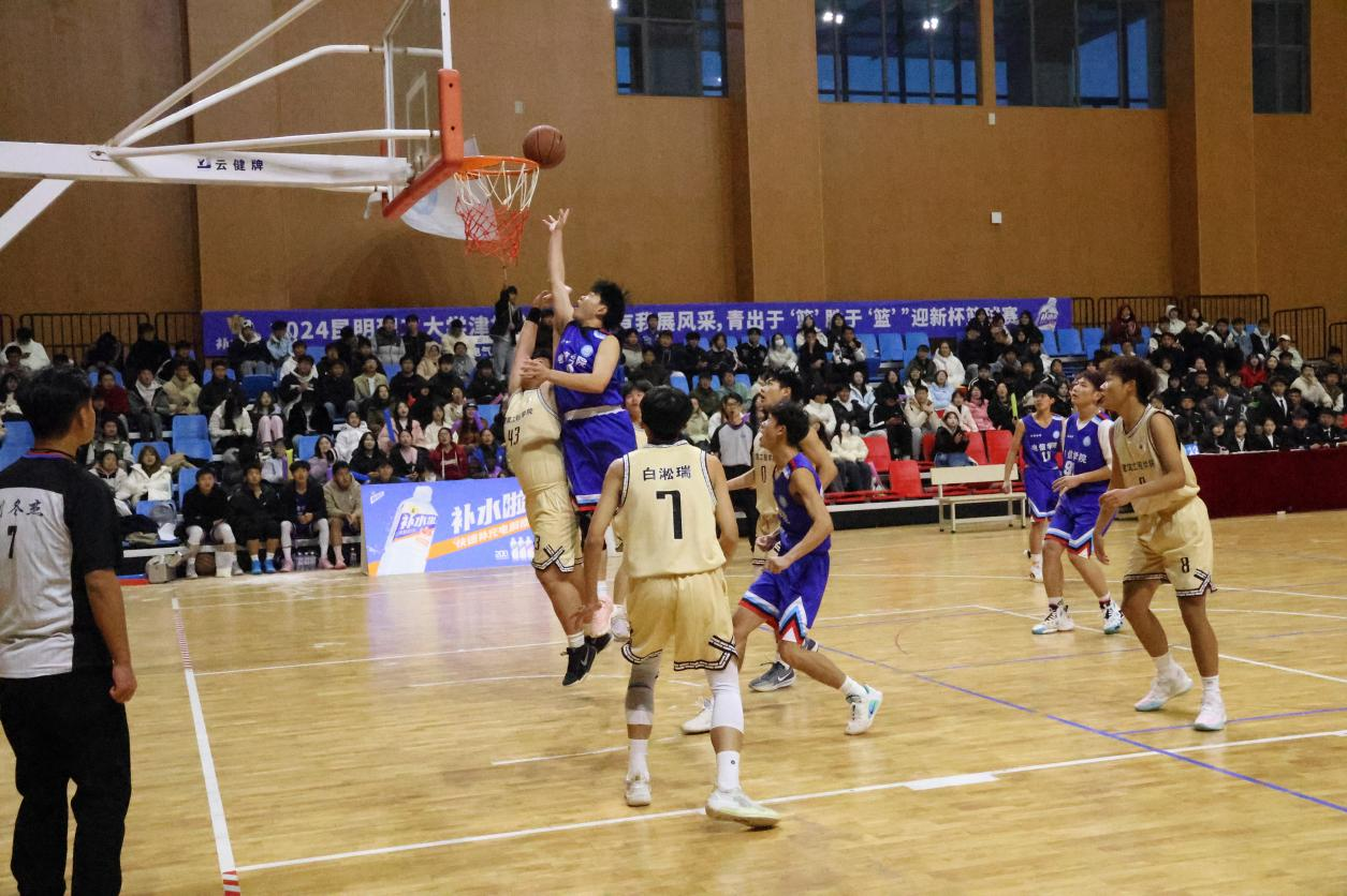 图片3